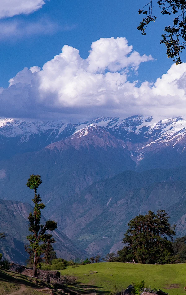 Dayara Bugyal Trek
